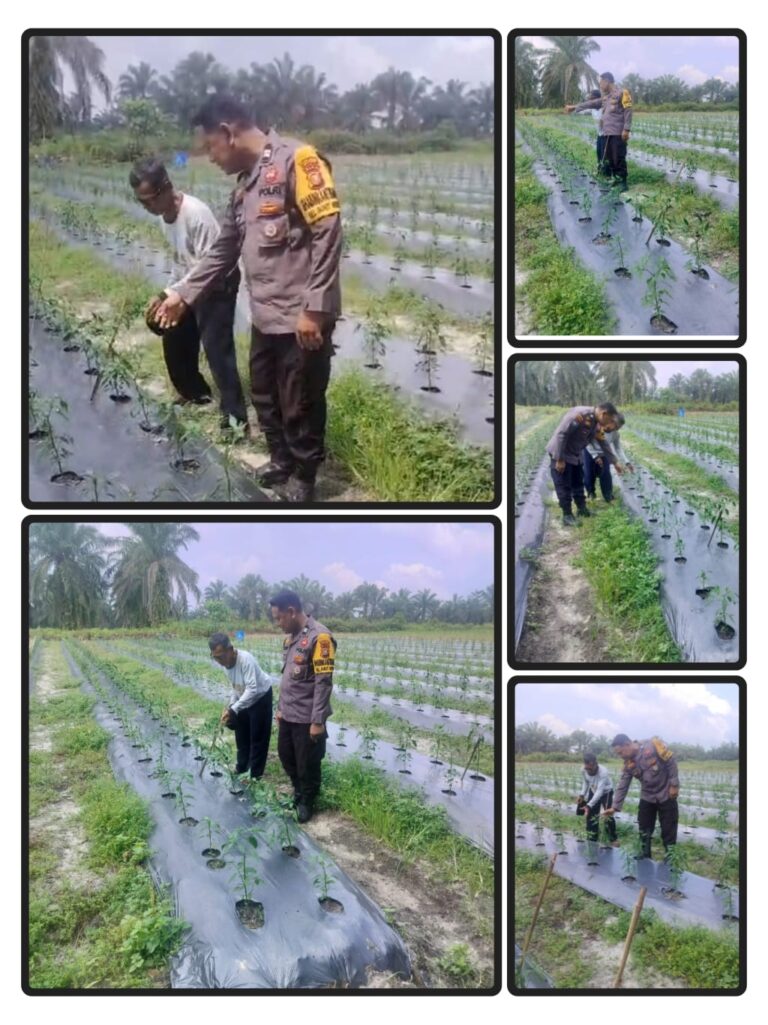 IMG-20260611-WA0179