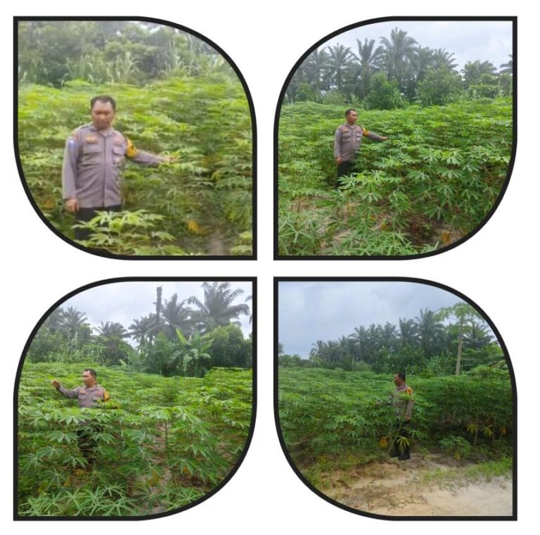 IMG-20260614-WA0096